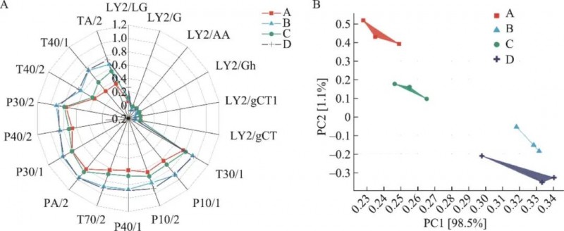 微信图片_2026-02-09_172401_283