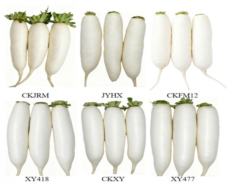微信图片_2026-04-07_133152_518