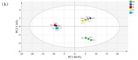 微信图片_2026-04-13_084634_694