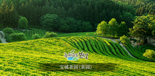 微信图片_2026-06-10_131659_398